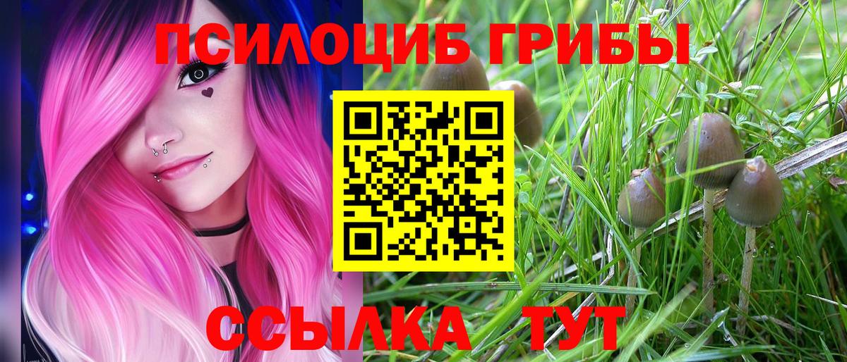 Галлюциногенные грибы мухоморы  Вход с VPN  Назрань 